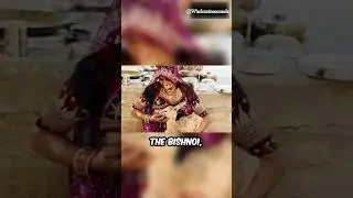 Bishnoi Community: The World&rsquo;s First Environmentalists | Protectors of Wildlife #bishnoicommunity
