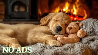 12 Hours of Deep Sleep Music for Dogs 🐶 Anti Separation Anxiety Relief 🎵 Sleep dog Healing 💖 No Ads