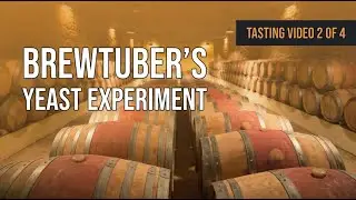 BrewTubers Yeast Experiment Review 2 of 4