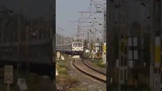 when in train. train accidentally hit the cow #train #railtrack #automobile #trending #reels #tiktok