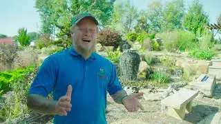 Pond Country: Koi Pond / Water Feature Maintenance, Repair, & Services Overview |  Annual Cleanouts
