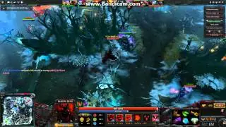 dota 2014