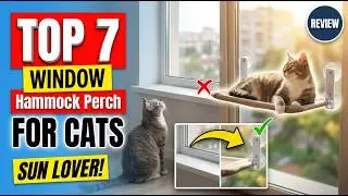 Top 7 Best Cat Window Hammock Perch (Exclusive) Review Guide 2026
