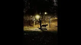 Unnerving Images Unnerving Music XVII