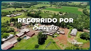 Conoce la f&aacute;brica Selecta, productora de Mate  | TopWorldTravel Paraguay  🌿✨
