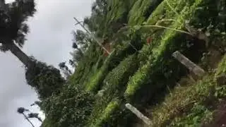 munar trip