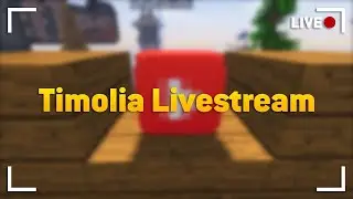 Wir spielen heute das 300. Timolia Turnier! | Timolia Livestream #27