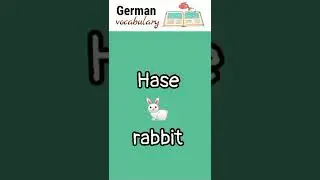 Hase  🐇 rabbit  | German language vocabulary