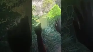 How to stick flower window decals.