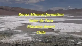 Borax mineral at Salar de Tara Atacama desert in Chile