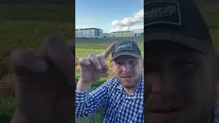 ‼️Официально! Я баллотируюсь на пост комиссара сельского хозяйства Флориды. #florida #floridanews