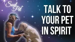 How to Communicate with Pets on the Other Side of Life 🌈 #soulpet #animalcommunication #petloss