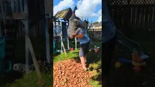 #wwe #johncena | Backyard Wrestling | Attitude Adjustment | Into the Leaves!! | Big Wrestling Fan