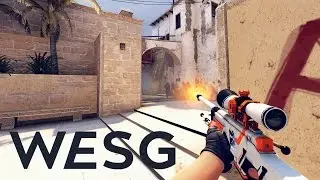 CS:GO - WESG 2016 World Finals Highlights