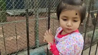 চিড়িয়াখানায় আফরার সারাবেলা #zoo #viralvideo #video #chattogram #baby #happy #enjoy #world #animals 