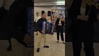 Colaj Hora Mișcata live la nunta -Formația Elvis Iorga -0734574808
