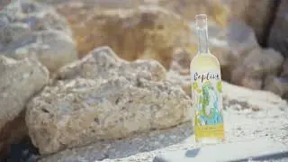 Captiva Spirits Key Lime Honey Vodka!