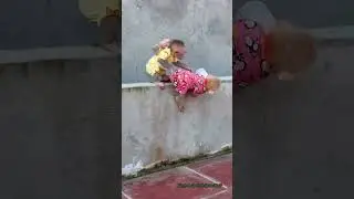 😂🐒Funny Baby Monkeys Playing with a #shorts #viral