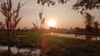 Local life with stunning view
