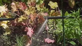 How to Repair Split or Damaged Drip Line