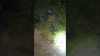 xtapodi sta vraxia