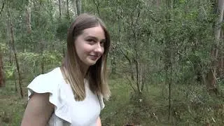 Koala Breeding Season 2022