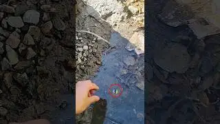 ✅ The guy shows CLEAN skills #lifehack #shorts #outdoors