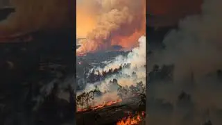 Why Is California Burning? #californiaburning #losingeles #mysticnaturestories