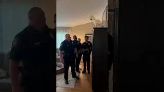 This bird is resisting arrest! 🤣 #shorts