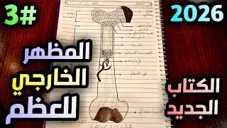 رسم المظهر الخارجي للعظم للصف الثالث متوسط الفصل الثاني 2026 
