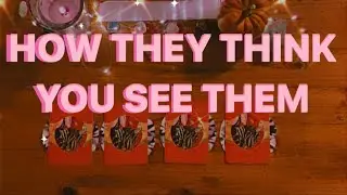 HOW THEY THINK YOU SEE THEM [ pick a card ]