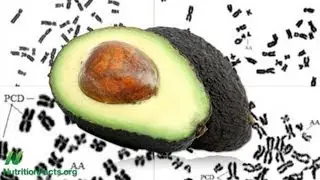 Are avocados bad for you?