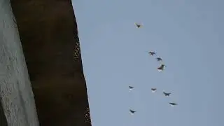 DSCN0001