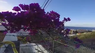 Levadawalk