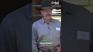 The Hart family love their cattle; Ranch and Management Show It #shorts