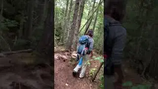 Les racines, les roches et les m&eacute;andres