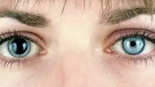 Listening Eyes - Fernanda Lemus (PSCH 350 Final)