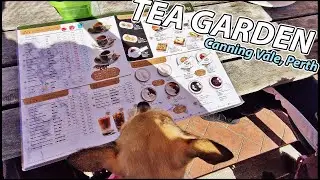 Malaysian Breakfast at Tea Garden Restaurant, Canning Vale, PERTH, Australia