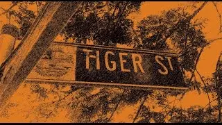 JJInterviews - TIGER STREET featuring Sarah & Nina