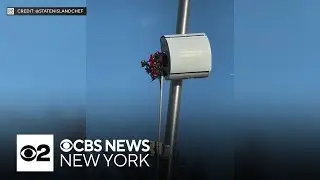 Fake flowers used to obstruct speed cameras across Staten Island