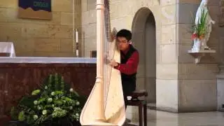 Performing La Mandoline at AHS Music Education Concert 3/16/14
