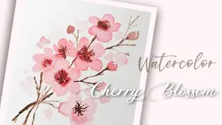 Watercolor sakura flowers illustration | cherry blossoms #aquarelle #beginners #flowerillustration