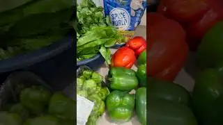 Sofrito: Green and red pepper, ajicitos dulce, garlic, onions, cilantro, culantro, cubanelle peppers
