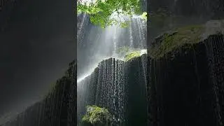 Hidden Jungle Waterfall 😍 #shorts  #nature #viralvideo #waterfall #trending