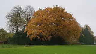 Wandeling erperheide Ellikom 15 11 2017