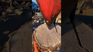 Fast & Powerful Wood Cutting Machine Process #shorts