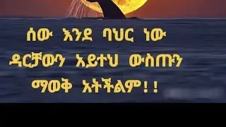 Fantish Tube(ፋንትሽ ዩቱብ)ሰዉ እንደ ባህር ነዉ ዳርቻዉን አይተህ ዉስጡን ማወቅ አትችልም! is live