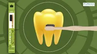 PUREXA Eco Friendly Bamboo Charcoal Tooth Brush | Bamboo Toothbrush In India