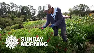 Colombia's blooming bounty of flowers