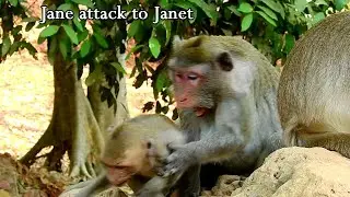 Brat Janet got attack from mom,when she try steal milk,Jane strong attack to Tazana when disturb her